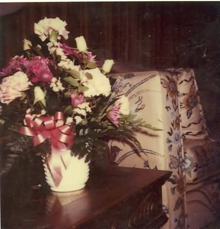 1981