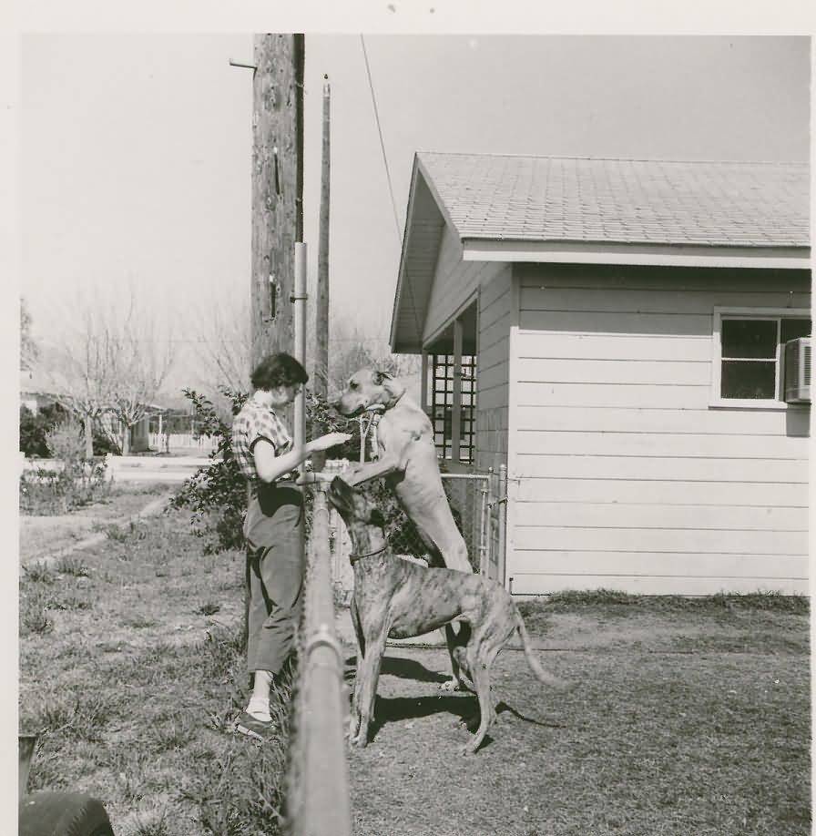 1955 - Tempe, Arizona